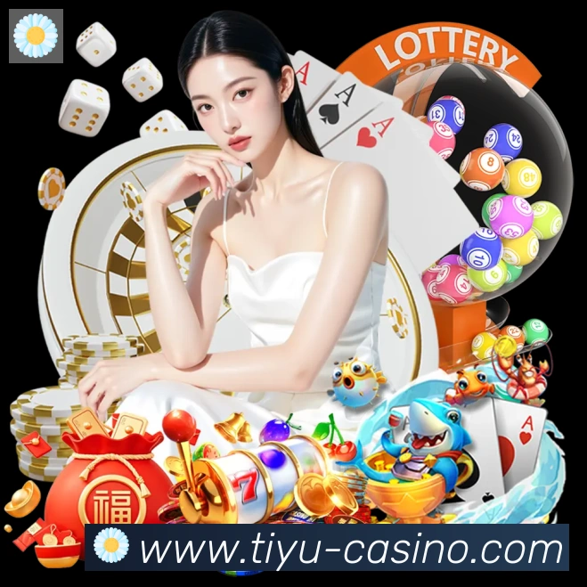 TVT体育发展历程